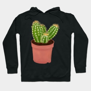 Cactus Drawing Hoodie